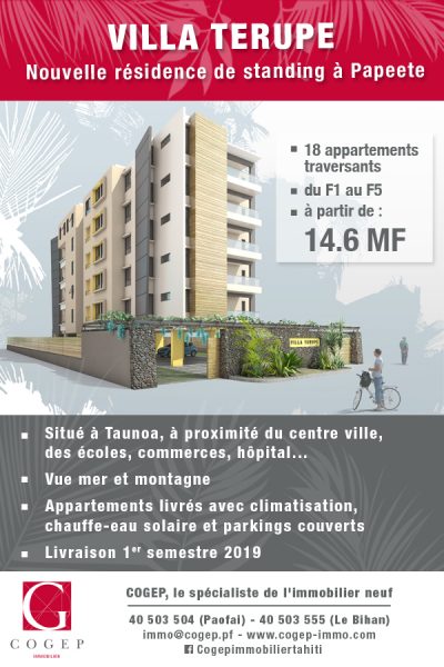 Profitez du meilleur de la ville  avec la VILLA TERUPE