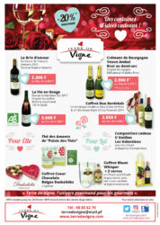 Terre-de-vigne-St-Valentin Terre-de-vigne-St-Valentin