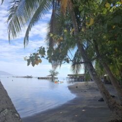 vue lagon 2